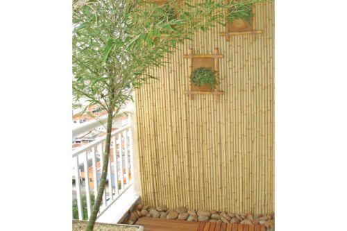 bambu na decoracao do jardim 3