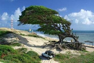 praia cabo de são roque em natal praia cabo de são roque