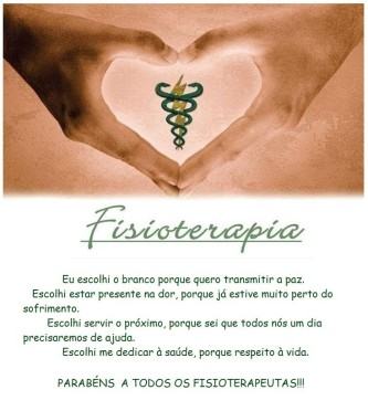 dicas de frases para o dia do fisioterapeuta