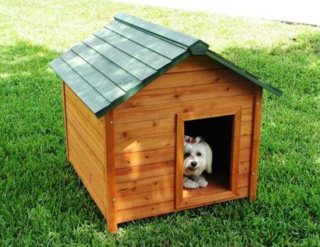 casinha de cachorro de madeira 5