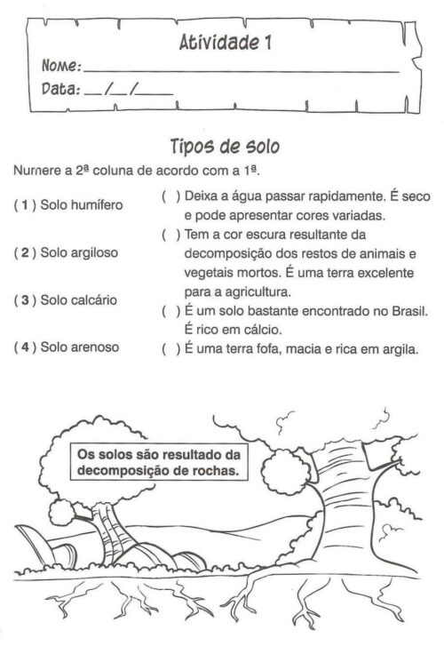 atividade de ciencias sobre o solo 3 ano 2