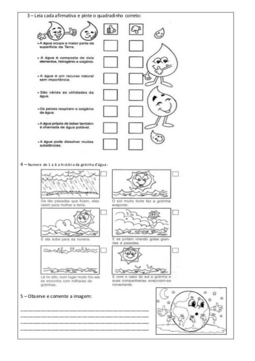 prova de ciencias 4 ano 12