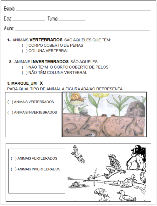 prova de ciencias 4 ano 7